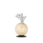 Table Lamp  | MAR-MT80531300