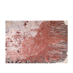 CARPET 240*340 | HOV-UTSCORALS