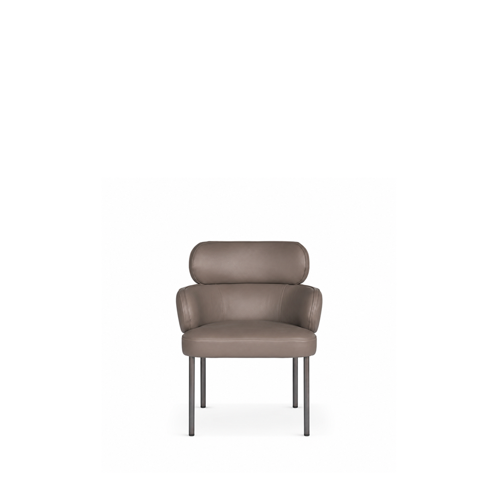 image-4010.png Dining Chair | ART-AC010B217-DNC - Image 1