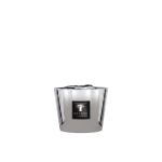 Max 10 Platinum | NAA-MAX10PLA-DIF